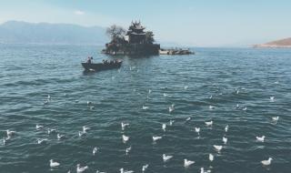 泸沽湖住宿推荐